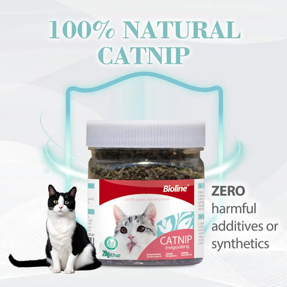 Bioline Premium Catnip 100% Natural Catnip Blend for Play & Enrichment Strong Aroma Safe & Non-Addictive – Supplement for Cat Toys Spray & Accessories (20G / 0.7 Oz)