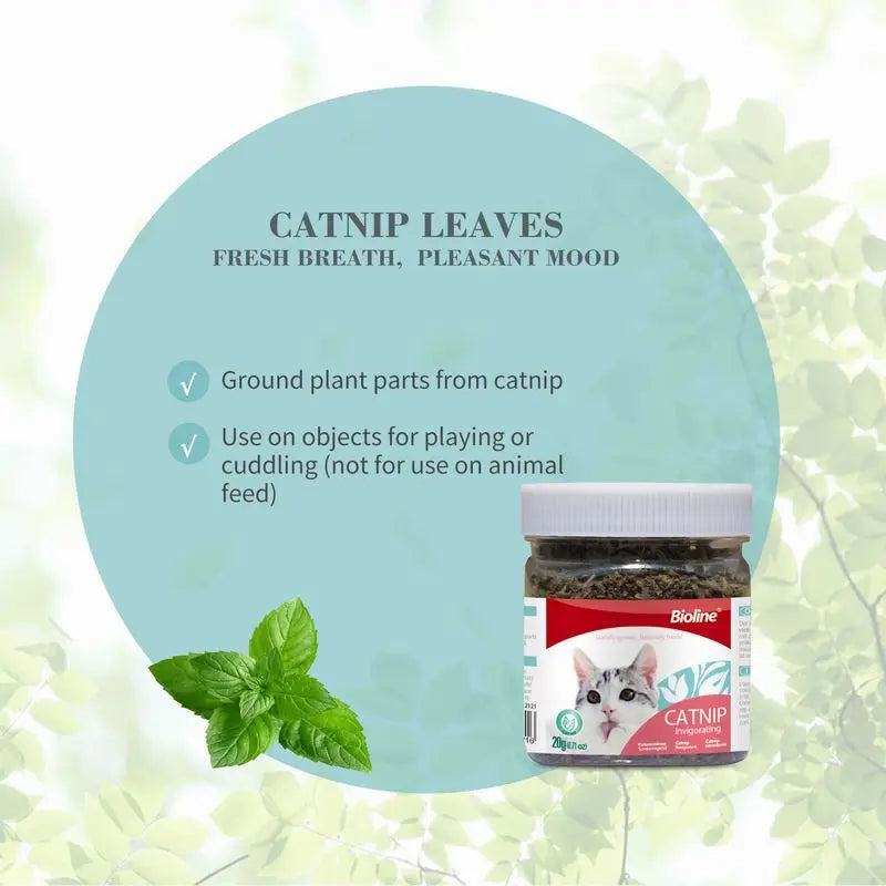 Bioline Premium Catnip 100% Natural Catnip Blend for Play & Enrichment Strong Aroma Safe & Non-Addictive – Supplement for Cat Toys Spray & Accessories (20G / 0.7 Oz)