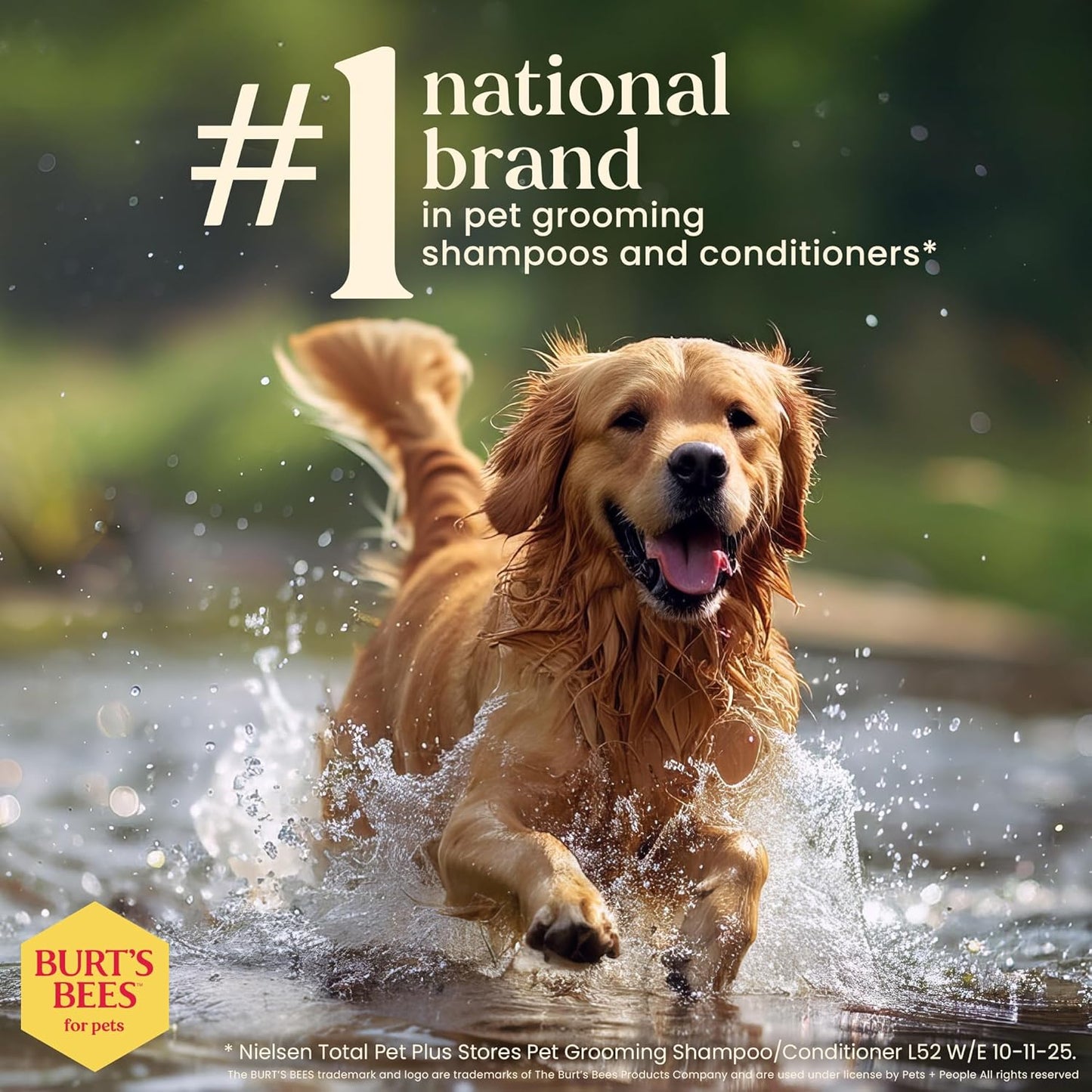 Burts Bees for Pets Waterless Shampoo Spray, with Apple & Honey, 10 Fl Oz | No-Rinse Waterless Formula, Ph Balanced, Ideal for Quick Touch-Ups between Full Baths, No Sulfates Parabens or Phthalates