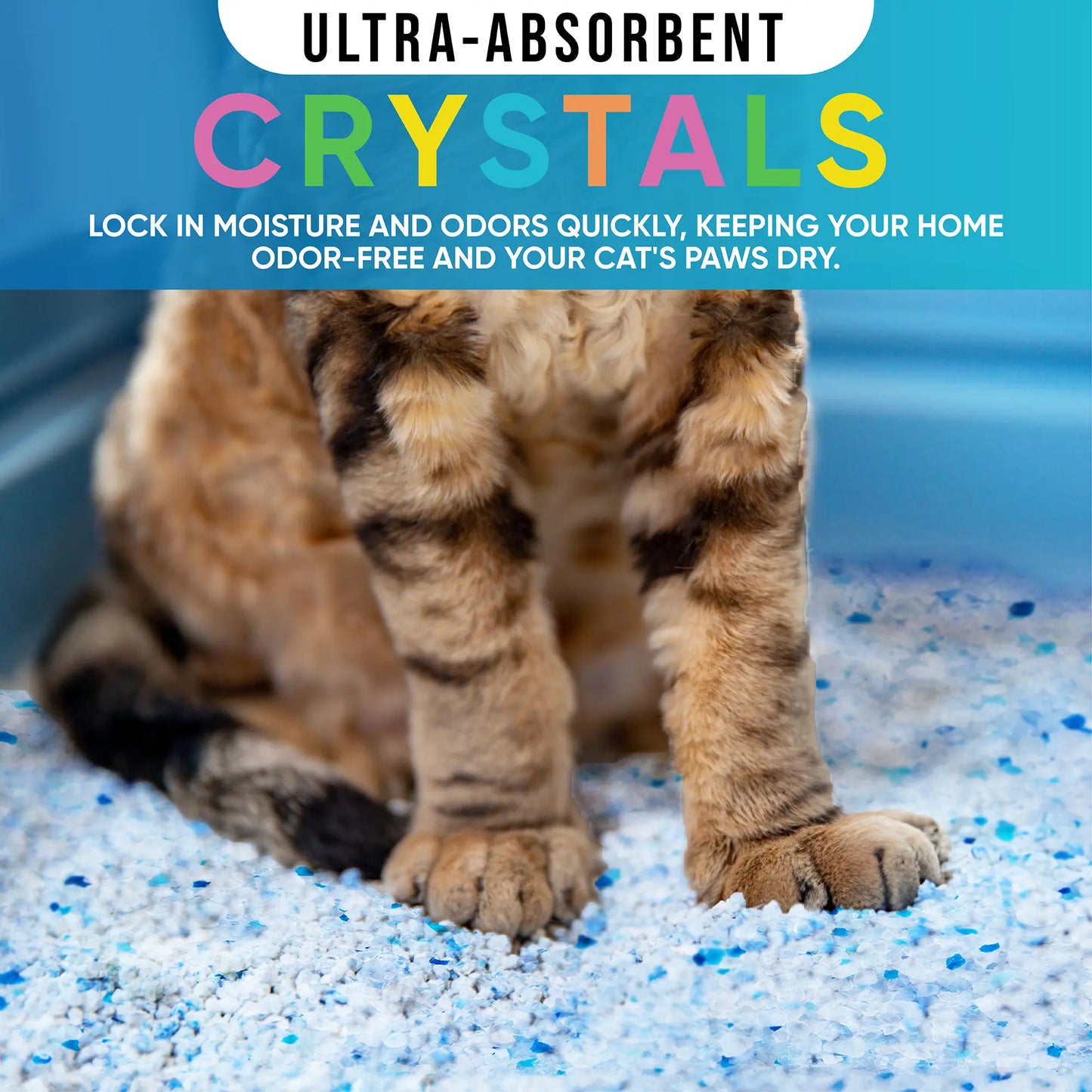Fresh Scent Crystal Cat Litter — Non-Clumping Silica Gel, 8 Lb