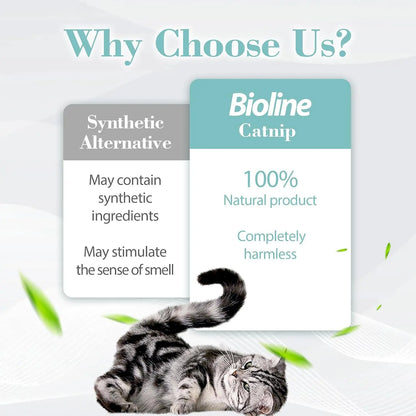 Bioline Premium Catnip 100% Natural Catnip Blend for Play & Enrichment Strong Aroma Safe & Non-Addictive – Supplement for Cat Toys Spray & Accessories (20G / 0.7 Oz)