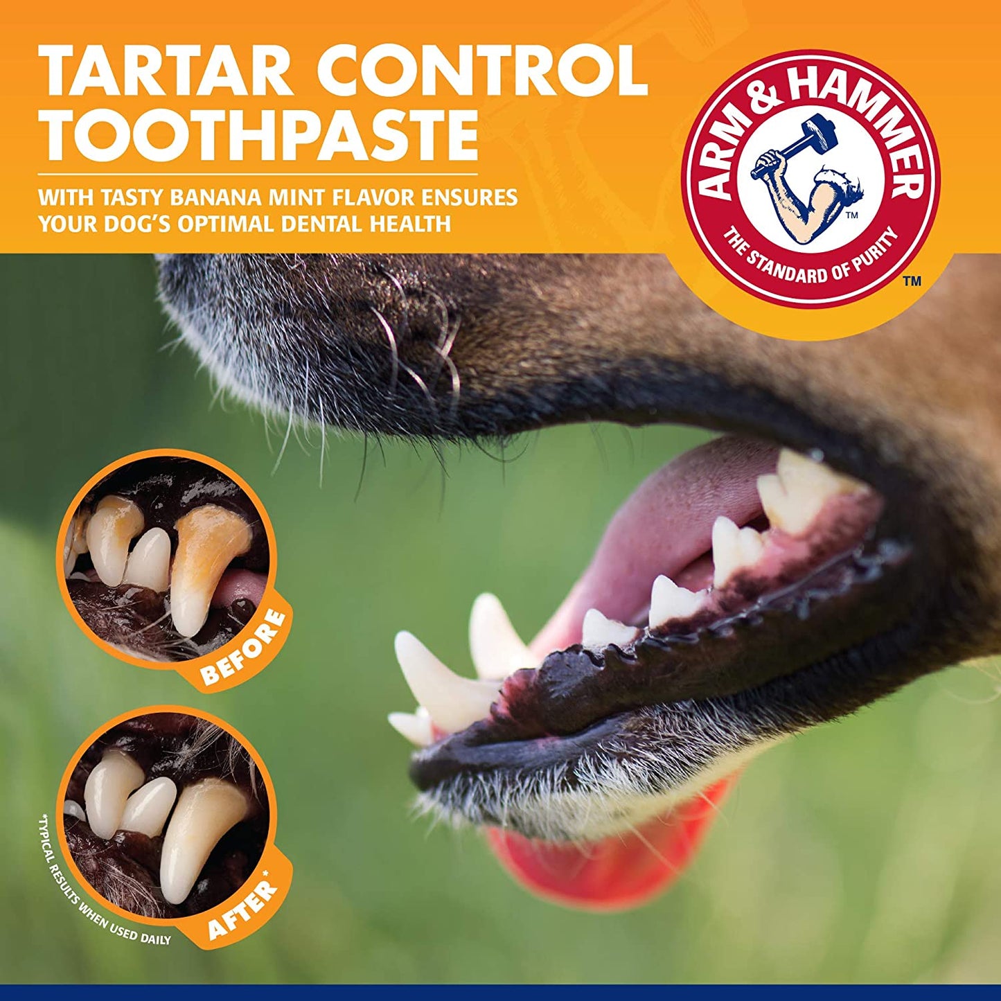 Tartar Control Dog Dental Kit, Banana Mint, 3-Piece | Enzymatic Toothpaste with Toothbrush and Fingerbrush, Baking Soda Formula Safe for Puppies