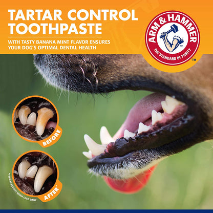 Tartar Control Dog Dental Kit, Banana Mint, 3-Piece | Enzymatic Toothpaste with Toothbrush and Fingerbrush, Baking Soda Formula Safe for Puppies