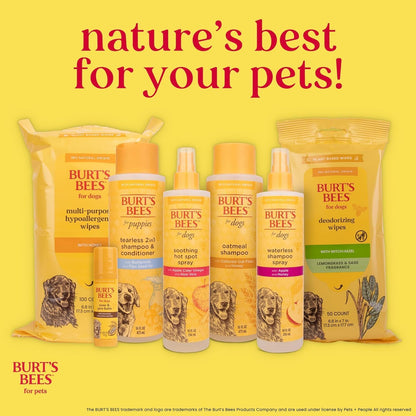 Burts Bees for Pets Waterless Shampoo Spray, with Apple & Honey, 10 Fl Oz | No-Rinse Waterless Formula, Ph Balanced, Ideal for Quick Touch-Ups between Full Baths, No Sulfates Parabens or Phthalates