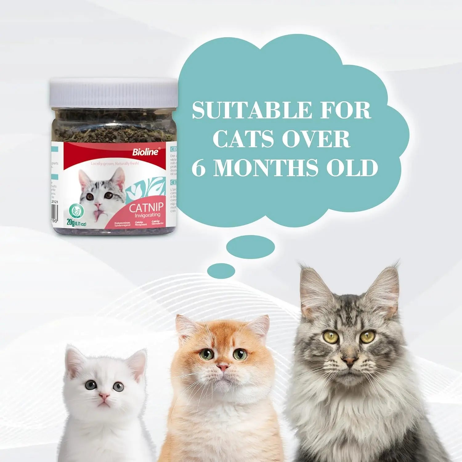 Bioline Premium Catnip 100% Natural Catnip Blend for Play & Enrichment Strong Aroma Safe & Non-Addictive – Supplement for Cat Toys Spray & Accessories (20G / 0.7 Oz)