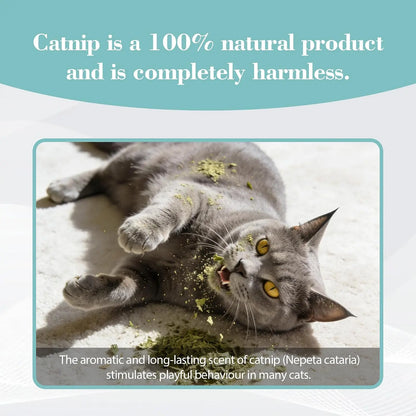 Bioline Premium Catnip 100% Natural Catnip Blend for Play & Enrichment Strong Aroma Safe & Non-Addictive – Supplement for Cat Toys Spray & Accessories (20G / 0.7 Oz)