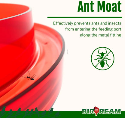 Birdream Window Hummingbird Feeder, 5Oz Small Plastic Nectar Holder with Ant Moat, 3 Feeding Ports, Compact Window-Mounted Hummingbird Feeder for Outdoors, Hummingbirds Feeder,Window Feeder