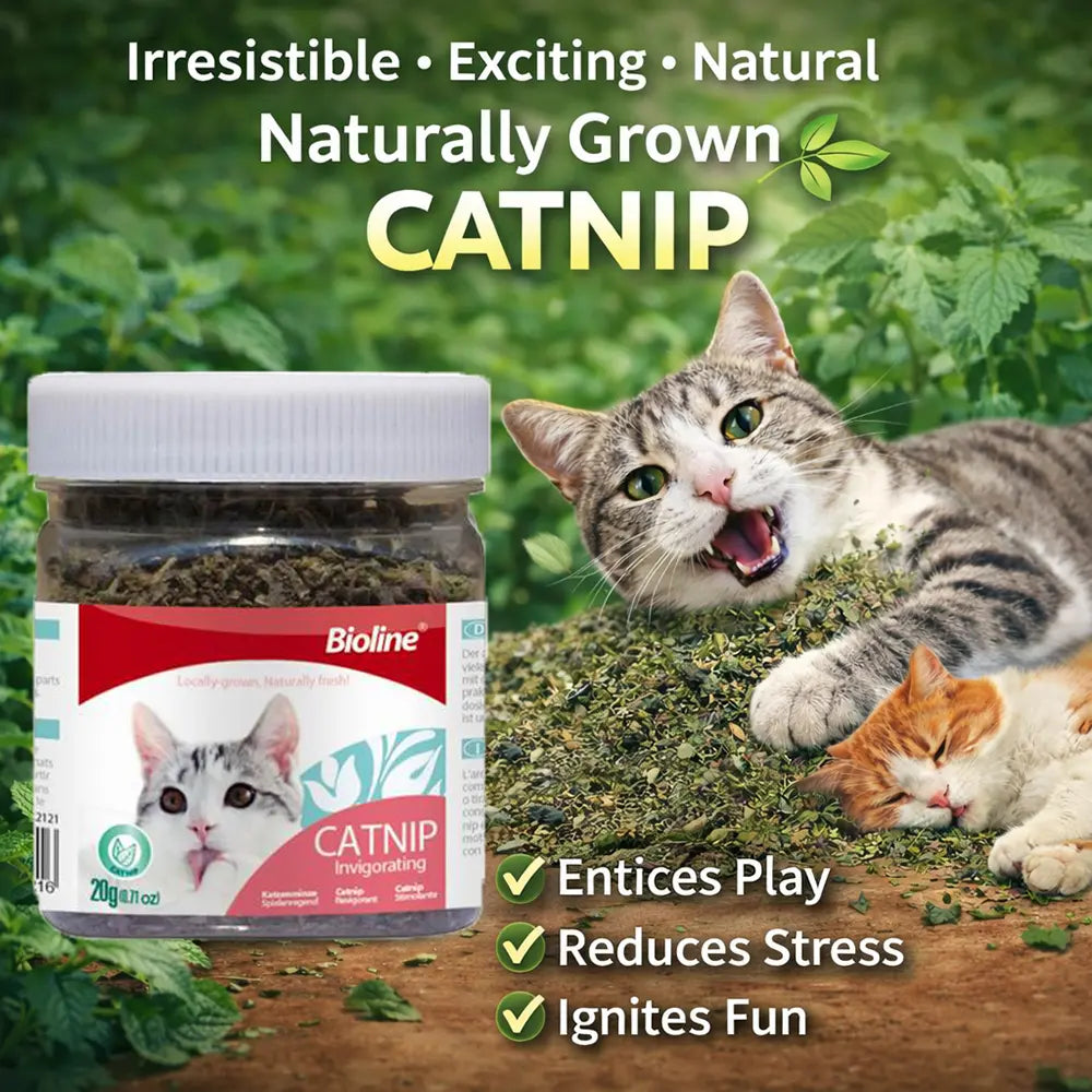 Bioline Premium Catnip 100% Natural Catnip Blend for Play & Enrichment Strong Aroma Safe & Non-Addictive – Supplement for Cat Toys Spray & Accessories (20G / 0.7 Oz)