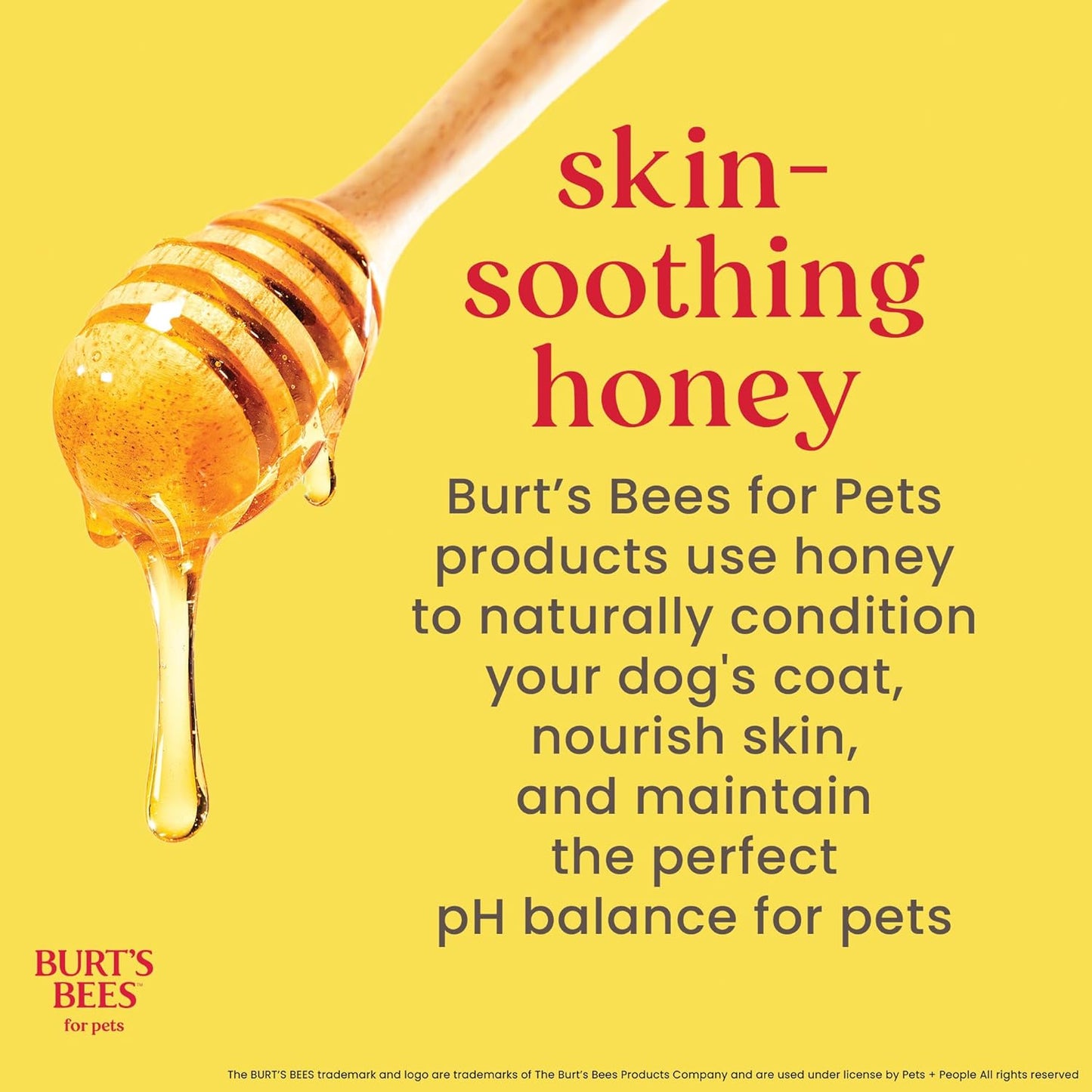Burts Bees for Pets Waterless Shampoo Spray, with Apple & Honey, 10 Fl Oz | No-Rinse Waterless Formula, Ph Balanced, Ideal for Quick Touch-Ups between Full Baths, No Sulfates Parabens or Phthalates