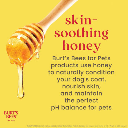 Burts Bees for Pets Waterless Shampoo Spray, with Apple & Honey, 10 Fl Oz | No-Rinse Waterless Formula, Ph Balanced, Ideal for Quick Touch-Ups between Full Baths, No Sulfates Parabens or Phthalates