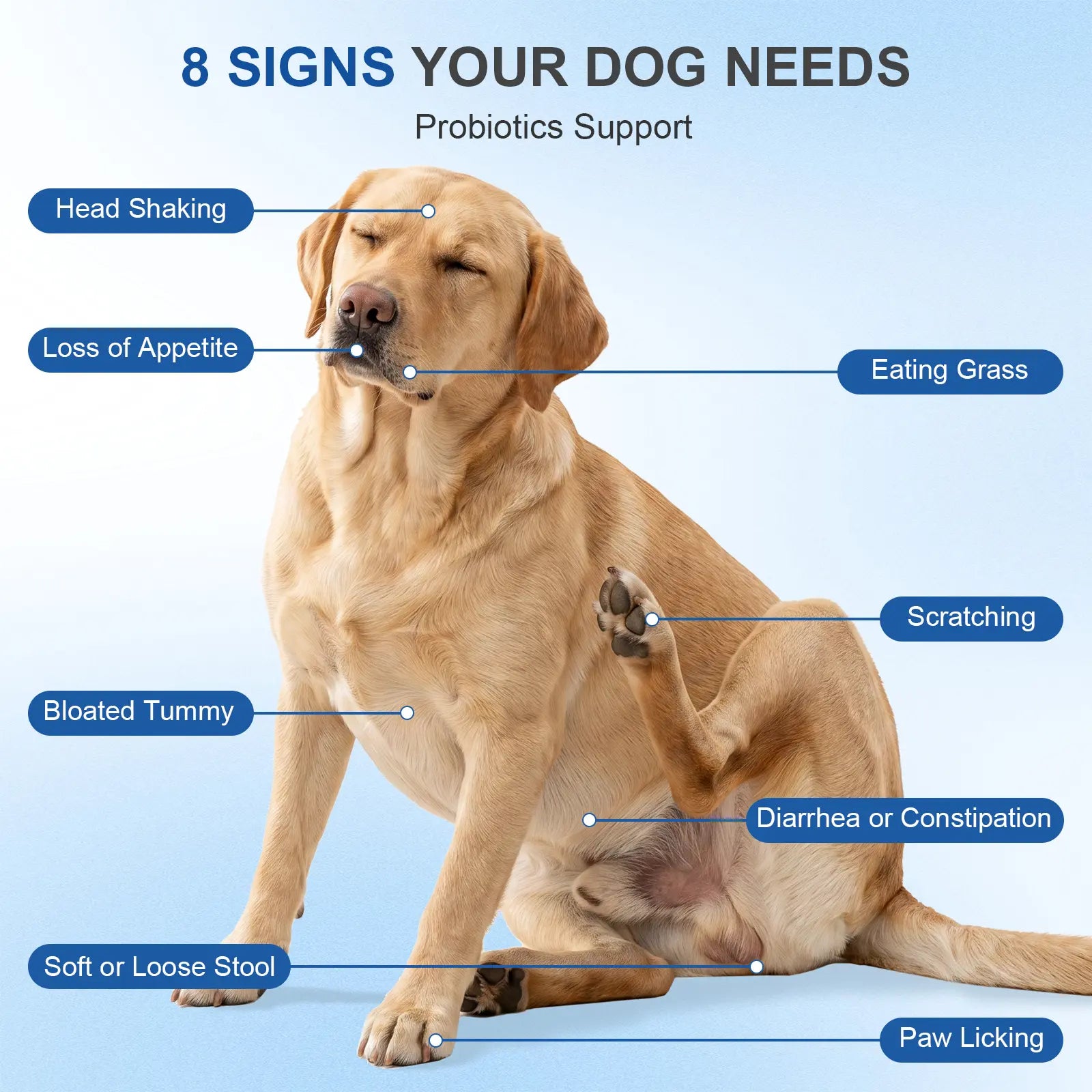 Petnanny Daily Probiotics for Dogs,Helps Digestive Gut Health,Diarrhea & Bloating,Improve Immune System for All Dogs,Chiken Flavor, 120 Soft Chews